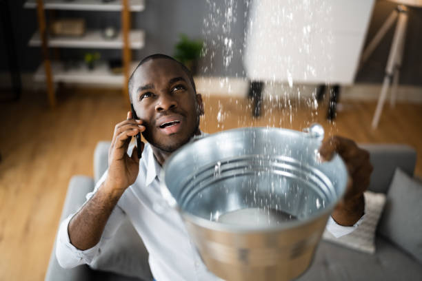Best Flood restoration services  in Marshall, MO