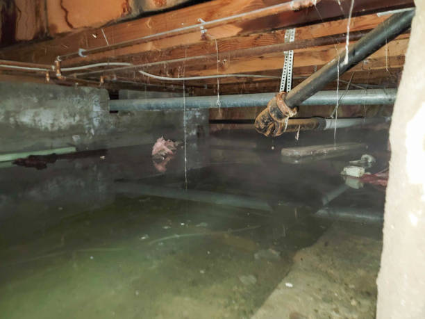 Water damage restoration insurance claims in Marshall, MO