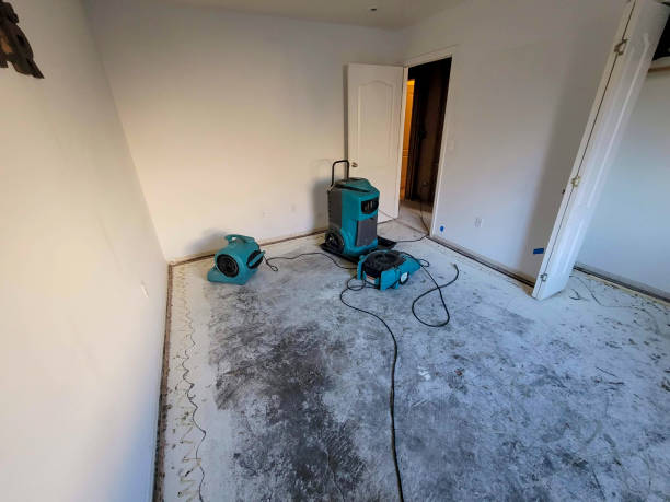 Best Carpet water damage restoration  in Marshall, MO