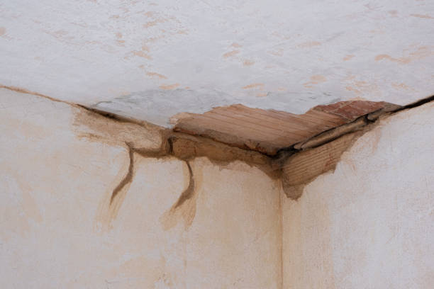 Best Water damage restoration services  in Marshall, MO