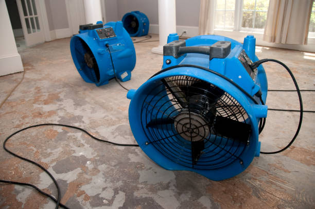 Best Professional water damage repair  in Marshall, MO