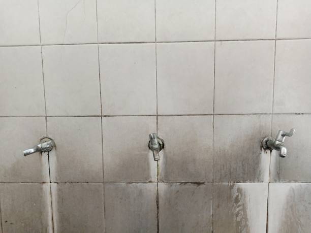 Best Basement water damage restoration  in Marshall, MO