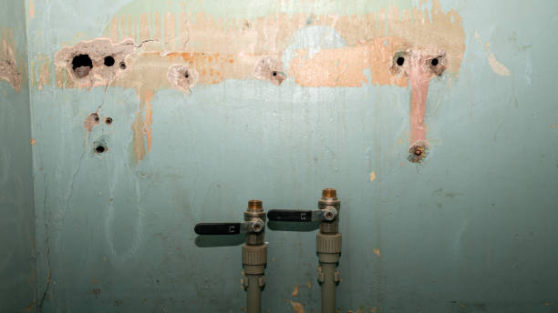 Best Water damage restoration near me  in Marshall, MO