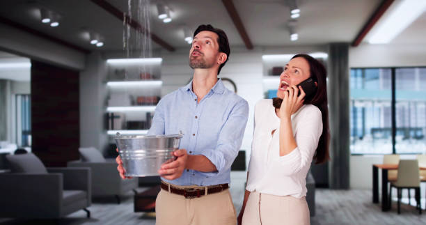 Best Basement water damage restoration  in Marshall, MO