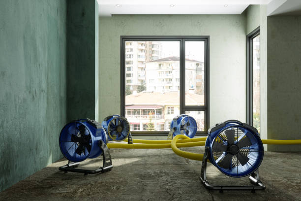 Best 24-hour water damage restoration  in Marshall, MO