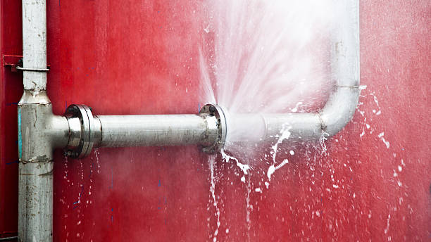 Best Mold removal after water damage  in Marshall, MO