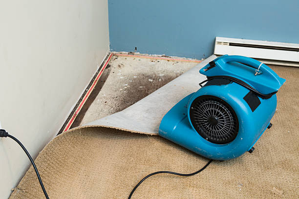 Best Water damage restoration near me  in Marshall, MO